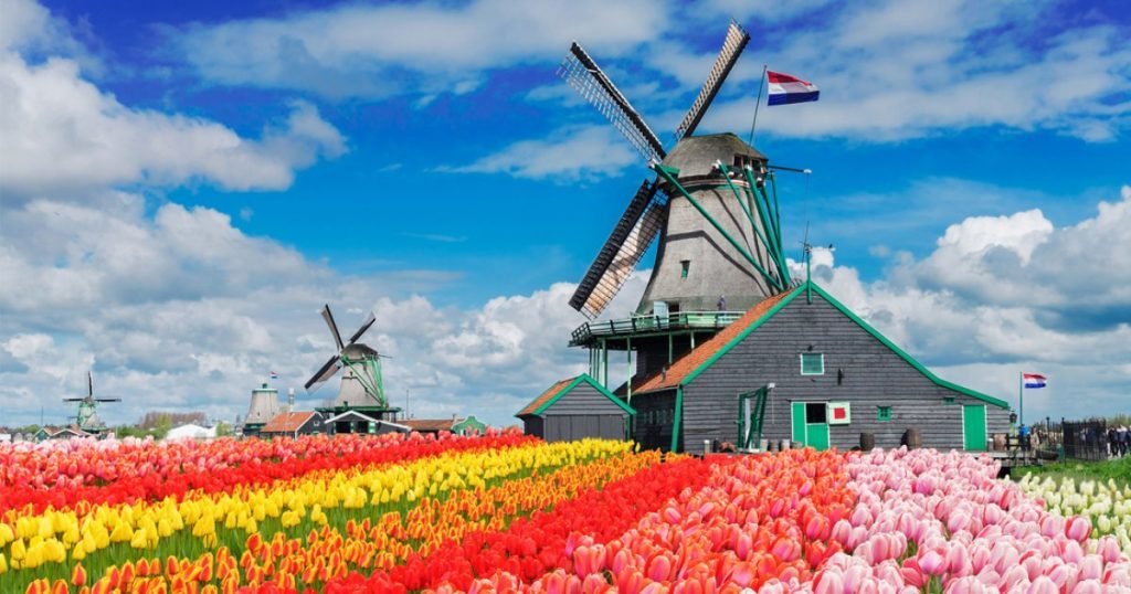 Day 5 — Windmills & Dutch Culture
