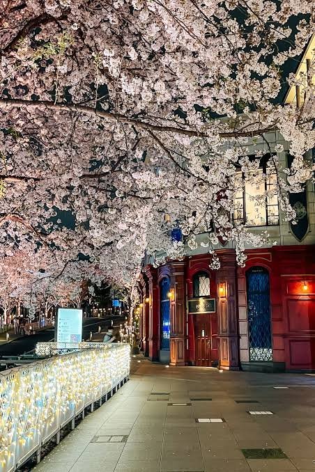Day 1 — Arrival in Tokyo (Asakusa & Shibuya)